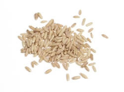 Oats