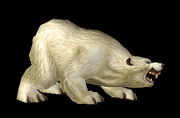PolarBear