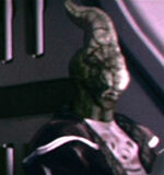 Vurk