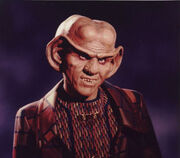 Quark