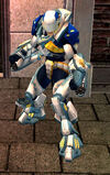 PPD Shell