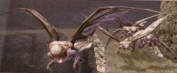 Shyrackswarm