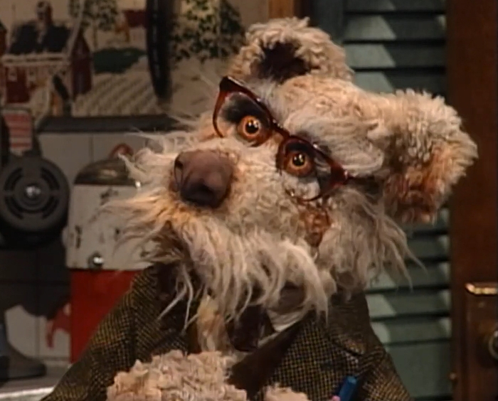 Scratchmccollie