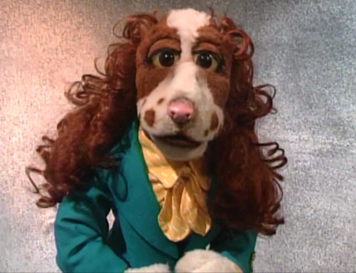 Terrispringer