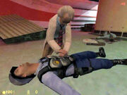 Half life03