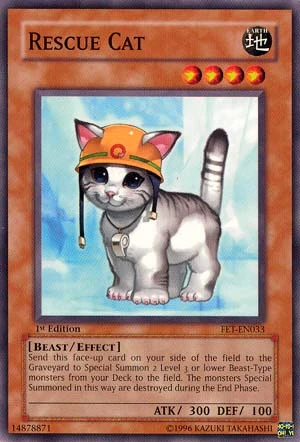 RescueCat-FET-EN-C-1E.jpg
