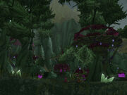 Veil Skith