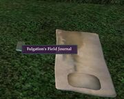 Remmysfieldjournal