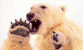 Polarbearking