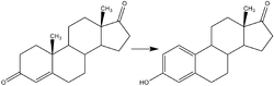 Reaction-Androstendione-Estrone