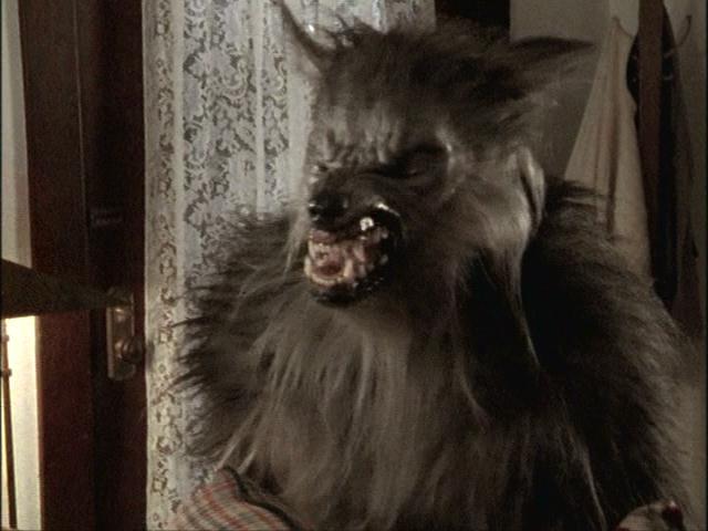 Teen Wolf Werewolf