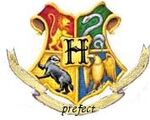 Prefectbadgeidea3