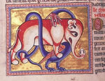 Elephantdragon