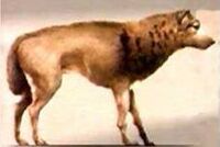 Gevaudan