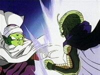 Namek Fusion