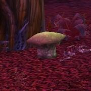 Fel Cone Fungus