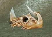 Kodo Bones