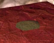 Fei Fei's Cache
