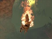 Flamingpureform