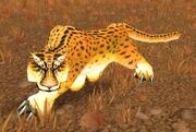 Dishu