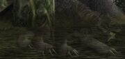 Shadowclaw