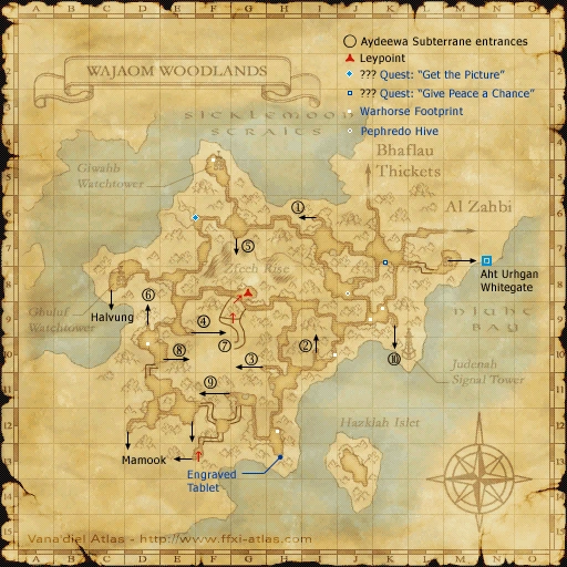 Wajaom Woodlands FFXIclopedia, the Final Fantasy XI wiki Characters, items, jobs, and more