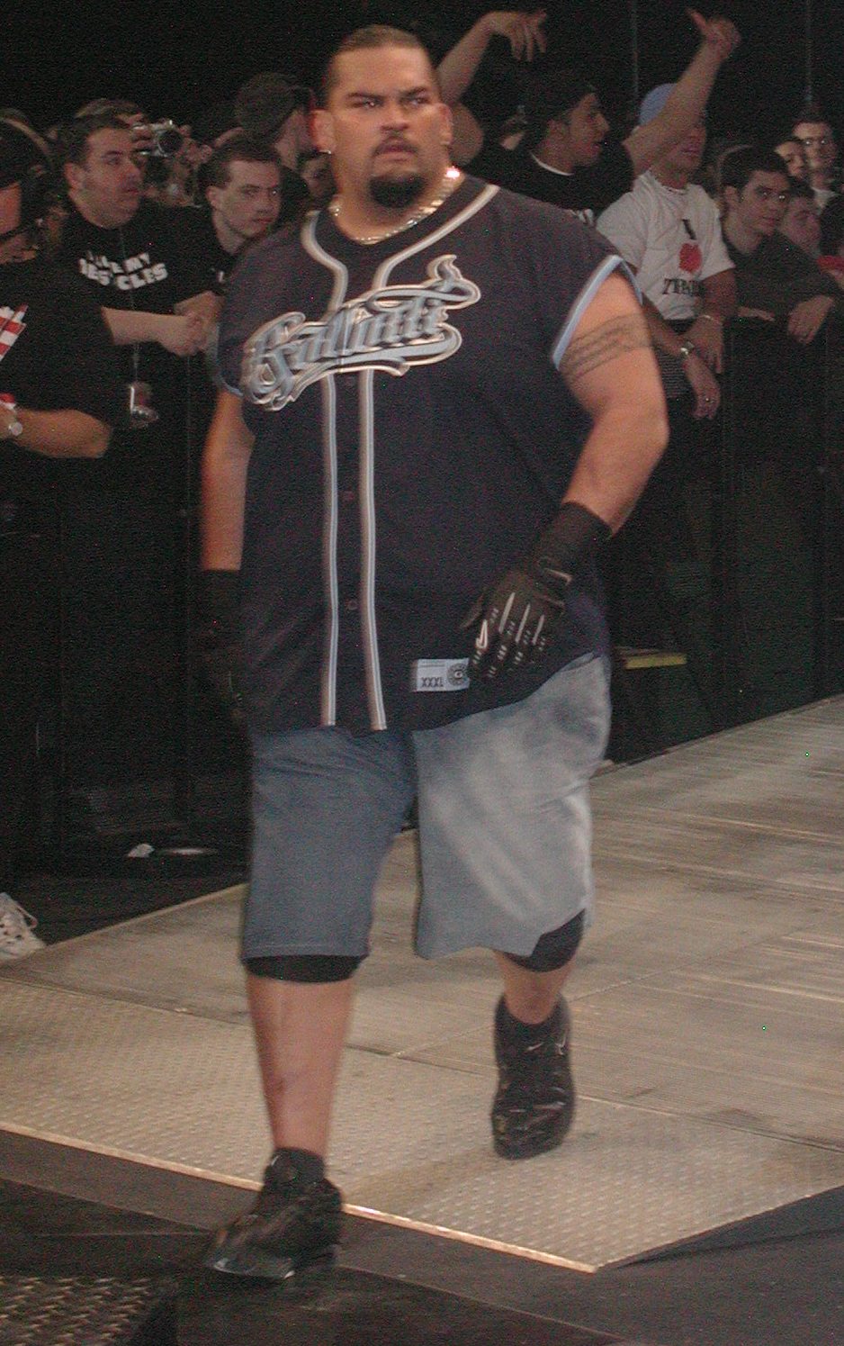 Matthew Anoa'i Pro Wrestling Wiki Divas, Knockouts, Results, Match