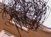 Scribble