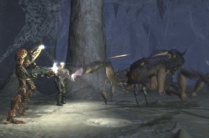 Jungle Spider big