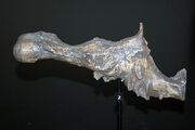 Tyrannosaurus brain