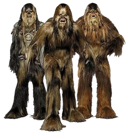 Wookiees-Transparent