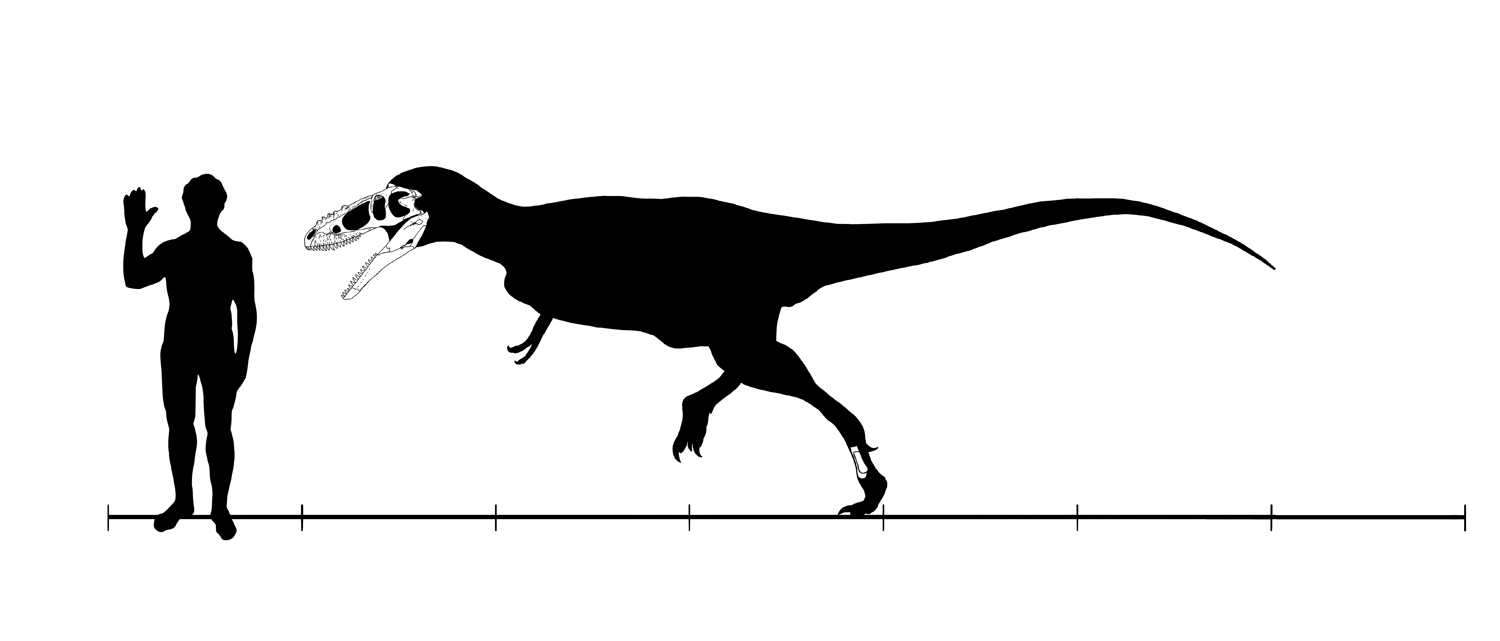 alioramus skeleton