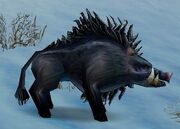 Crag Boar