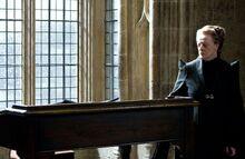 McGonagall HBP