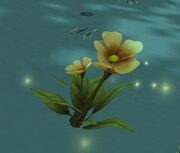 Dahlia's Tears