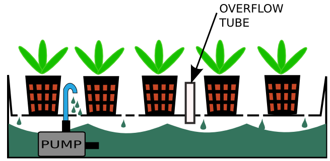 Types of hydroponic systems - Hydroponics Wiki