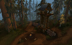 Evergreen Trading Post