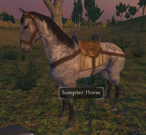 Sumpter horse