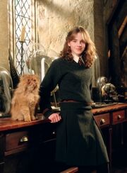 Hermione poa
