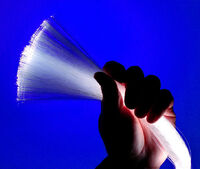 Fiber optic bundle