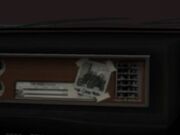 Stallionphotomystery