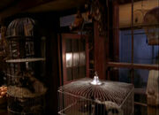 MagicalMenagerie