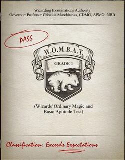 Exceeds Expectations WOMBAT