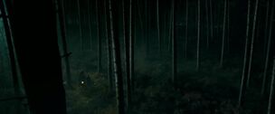 Forbidden Forest GOF 1