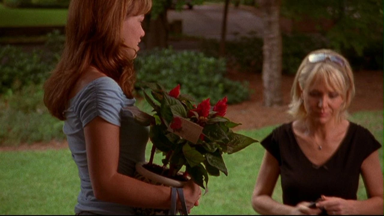 Pregnancy signs 3 days after intercourse, when does haley get pregnant