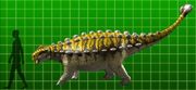 Pinacosaurus