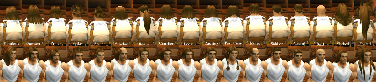 Human Male Hairstyles