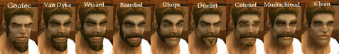 Human Male Facial Hair