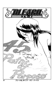 C 045 cover