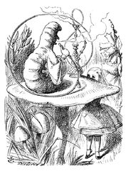 Caterpillar tenniel